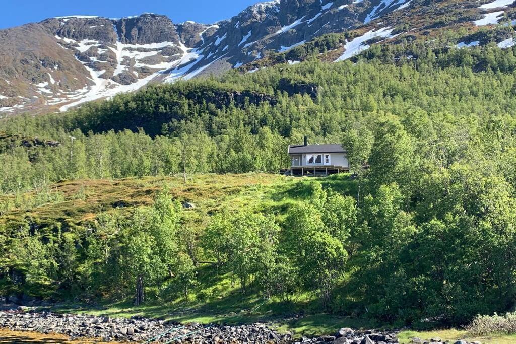 Cabin In Jokelfjord Villa Dış mekan fotoğraf